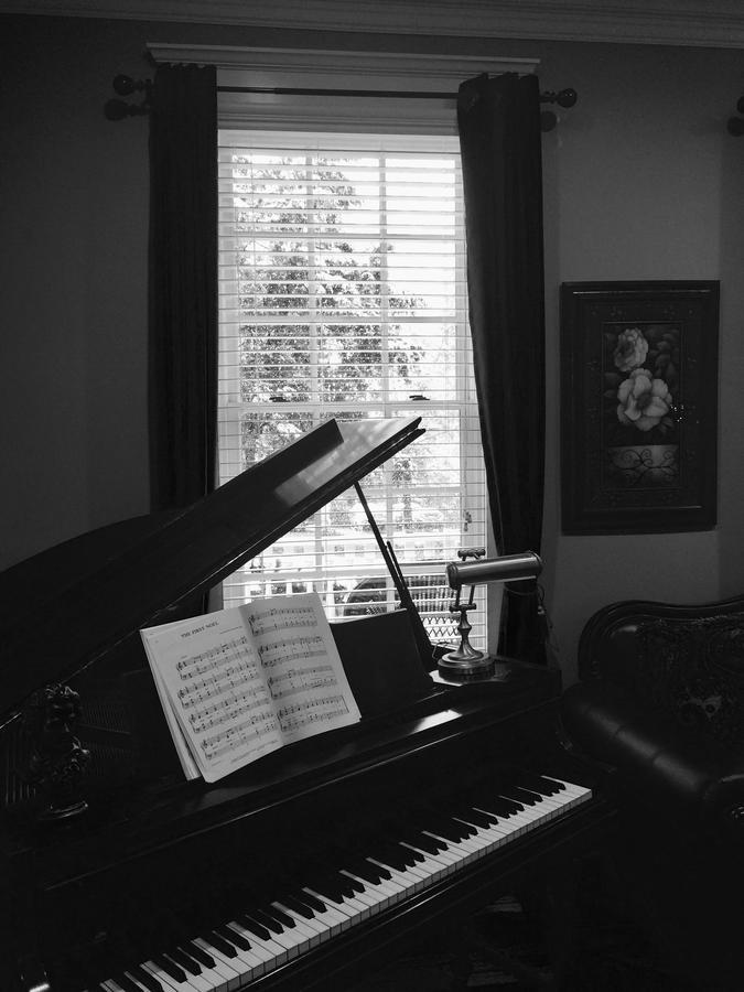 Bama Bed And Breakfast - Chimes Suite Tuscaloosa Extérieur photo